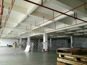 深圳龙岗优质厂房、仓库及土地租赁，分租面积500至2000平方米