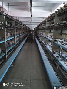 大朗原房东纺纱厂10000平方厂房带设备出租 纺织产业升级新机遇